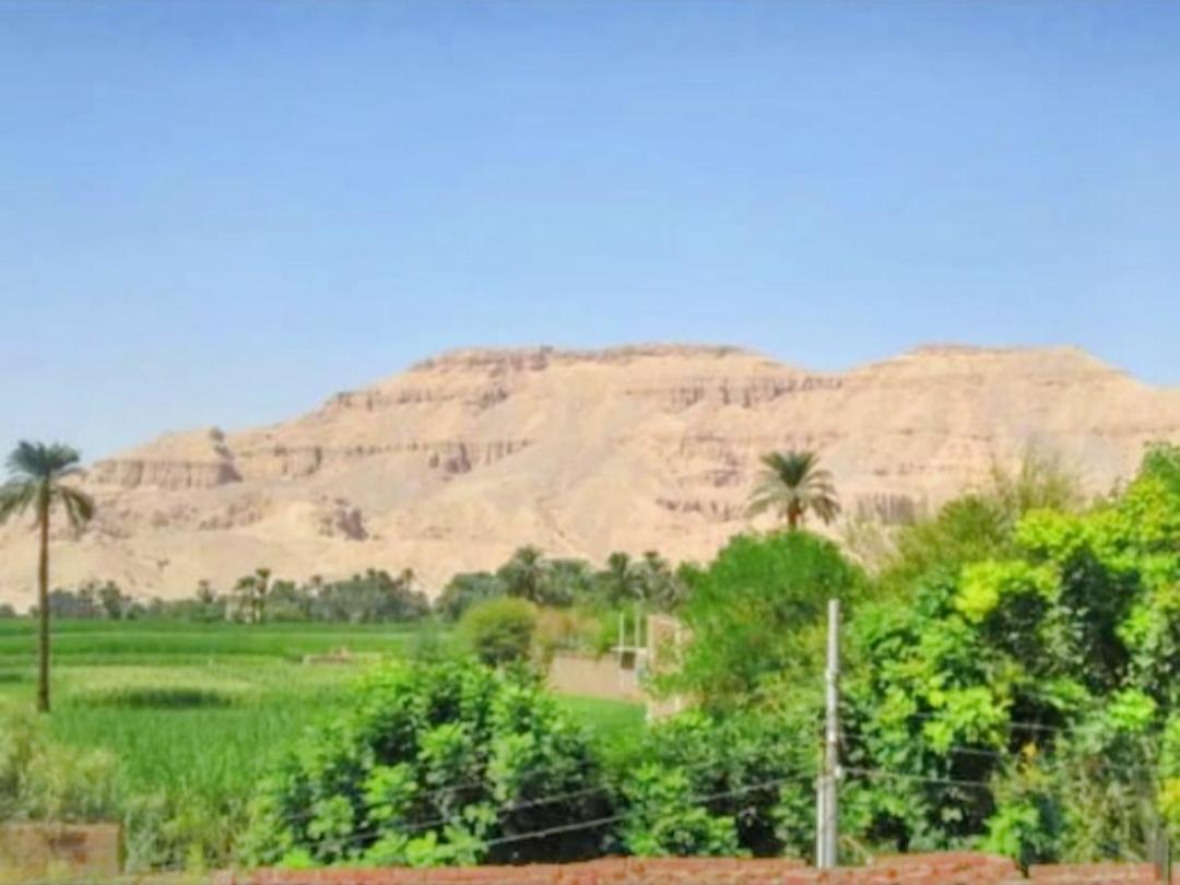 Luxor Villa Hatshepsut Exteriör bild